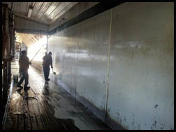 Cleaning Milk Parlor