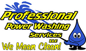 Professional Power Washing Services